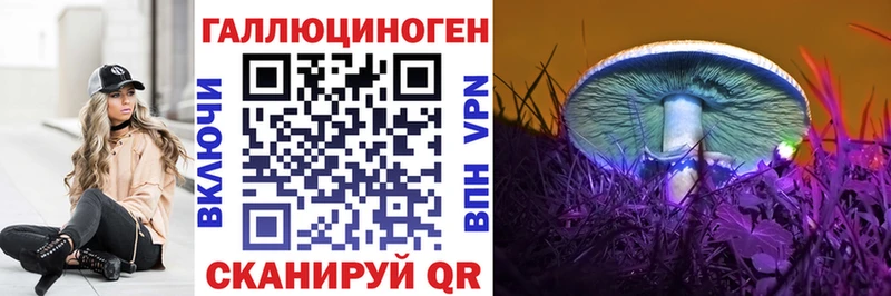 Псилоцибиновые грибы мицелий  Купить  Зеленодольск 