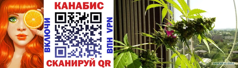 Купить где  Зеленодольск  Шишки марихуана OG Kush 